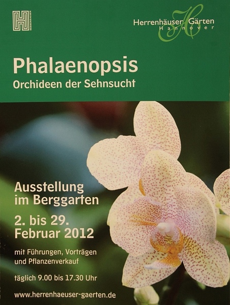Phalaenopsis   001.jpg
